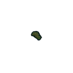 The Musaicum South Atlantic Islands satellite image mosaic - Gough Island
