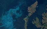 Algae bloom off the outer Outer Hebrides