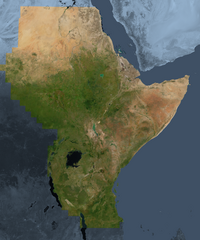 The Musaicum East Africa satellite image mosaic