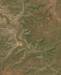 Musaicum East Africa sample: Genale river, Ethiopia