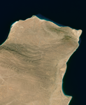 Musaicum East Africa sample: Cape Guardafui, Somalia