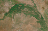 Musaicum East Africa sample: Lorian swamp, Kenya