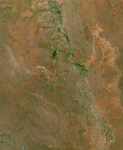 Musaicum East Africa sample: Lower Shebelle river, Somalia