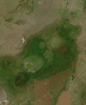 Musaicum East Africa sample: Ngorongoro Crater Highlands, Tanzania