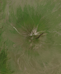 Musaicum East Africa sample: Ol Doinyo Lengai, Tanzania