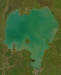 Musaicum East Africa sample: Lake Tana, Ethiopia