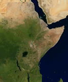 Musaicum East Africa blended with Green Marble based Ocean coloring