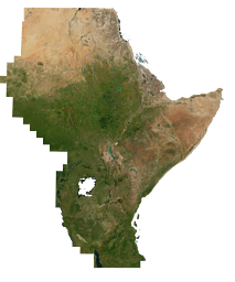 Musaicum East Africa satellite image mosaic